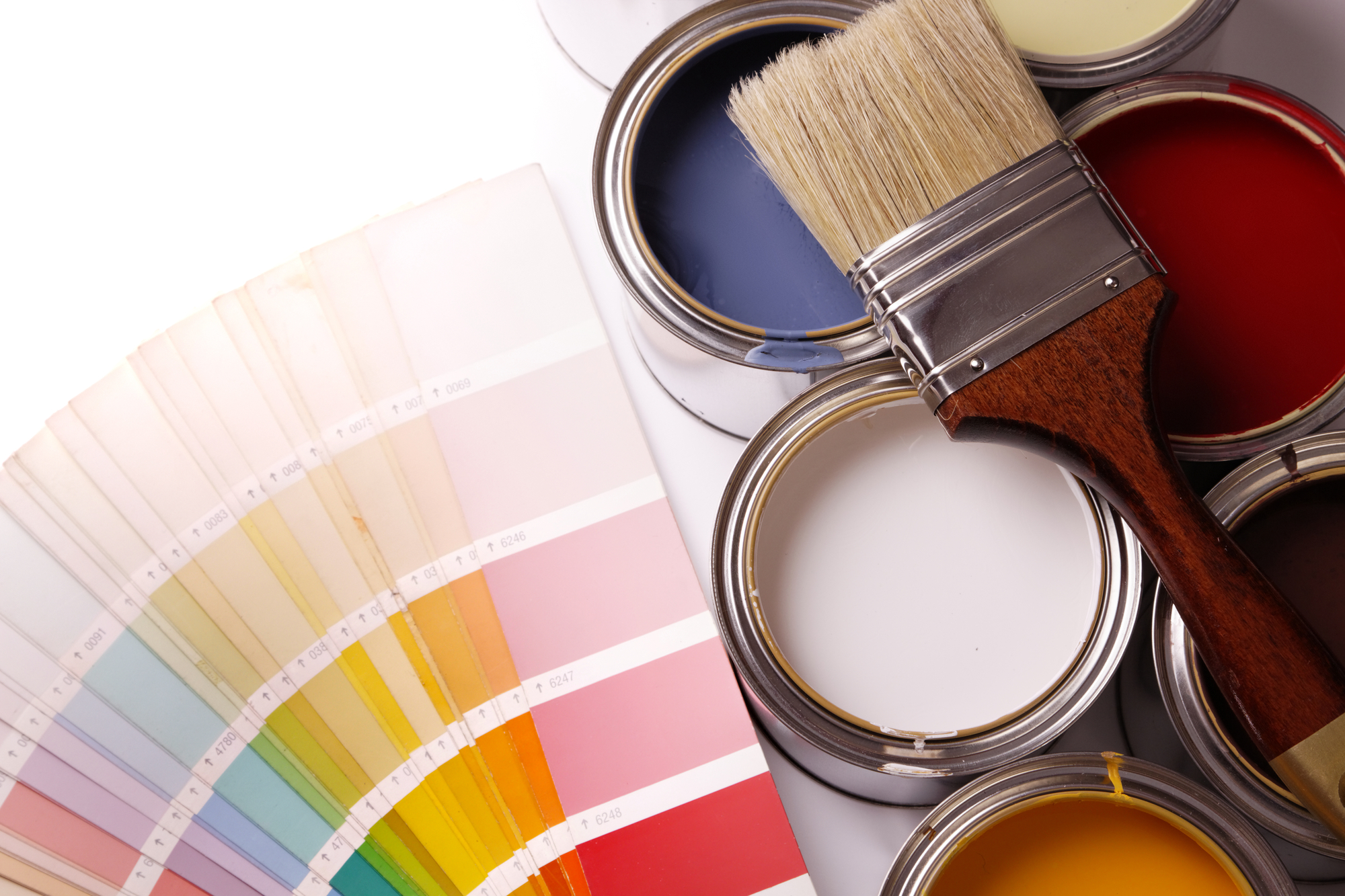 How Many Different Types of Paint Are Available to Choose From?